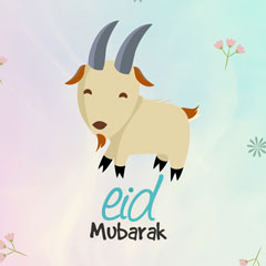 Eid ul Adha 1